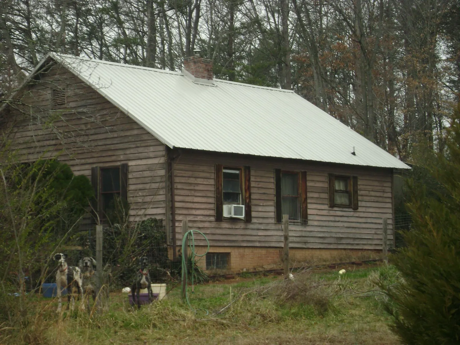 White metal roof on an old wood sided farmhouse, from a Asphalt Shingle Roof Repair job in Martville